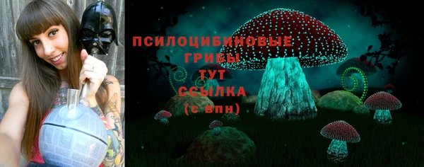 ALPHA PVP Алексеевка
