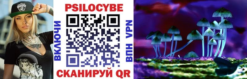Псилоцибиновые грибы GOLDEN TEACHER  где продают   Лабинск 